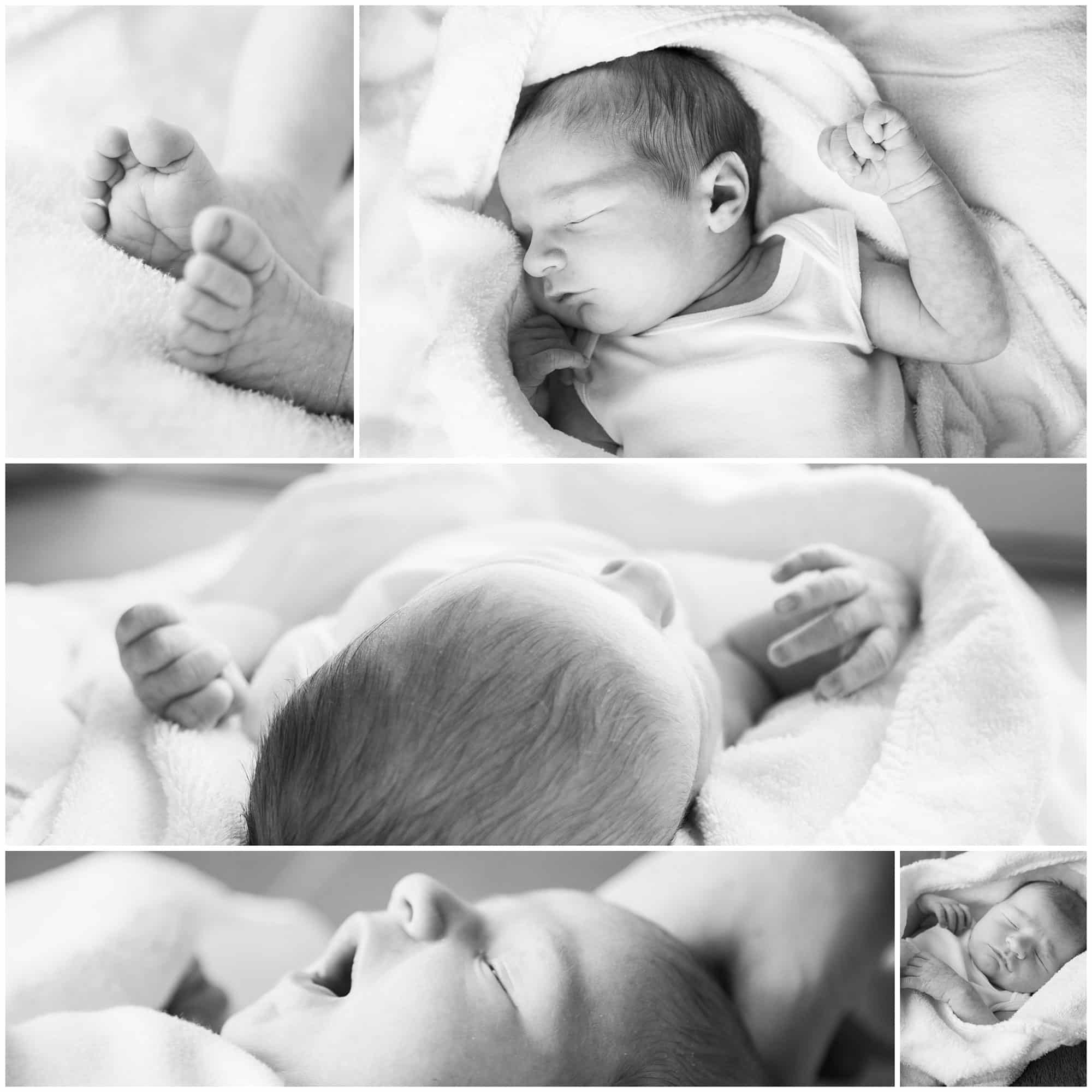 newborn fotoshoot ewijk newborn fotoshoot ewijk