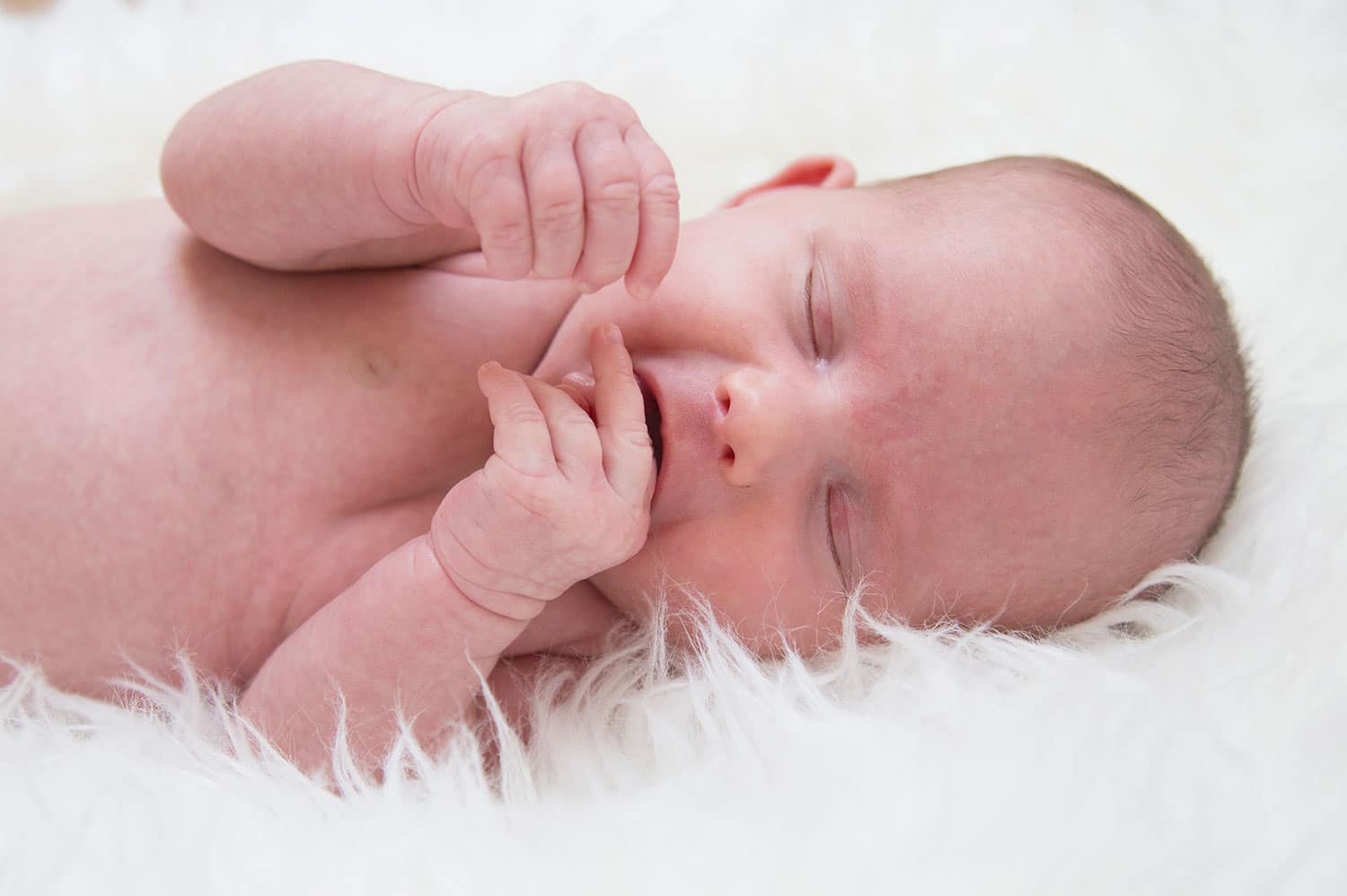 newbornfotografie denbosch