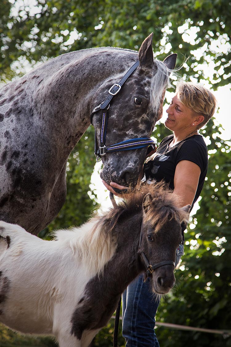 dierenfotograaf paarden