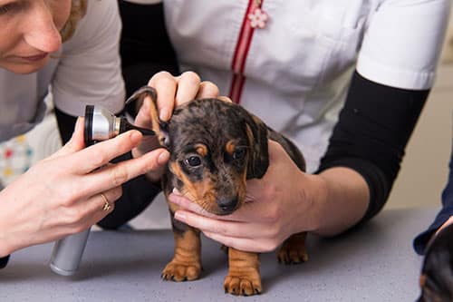 zakelijke fotografie brabant
