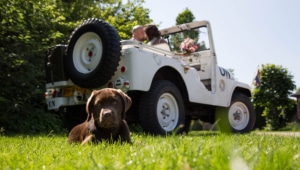 professionele trouwfotograaf in druten