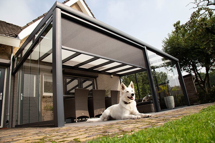 fotograaf heesch fotograaf heesch