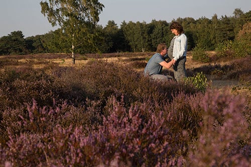 fotoshoot op de hei fotoshoot op de hei