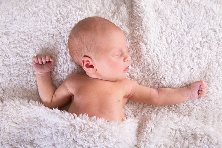 newbornshoot professionele fotograaf newbornshoot professionele fotograaf