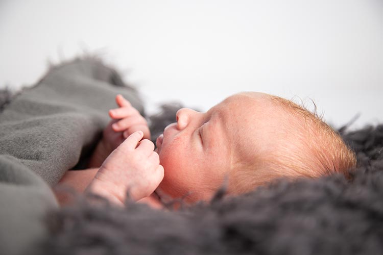 baby fotoshoot baby fotoshoot