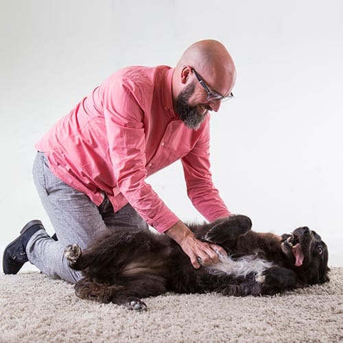 fotograaf landerd zwangerschapsfotgrafie fotograaf landerd zwangerschapsfotgrafie