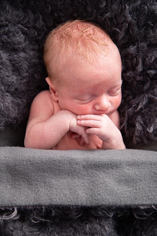 pasgeboren baby fotoshoot pasgeboren baby fotoshoot