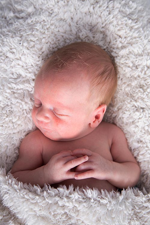 pasgeboren zoontje pasgeboren zoontje