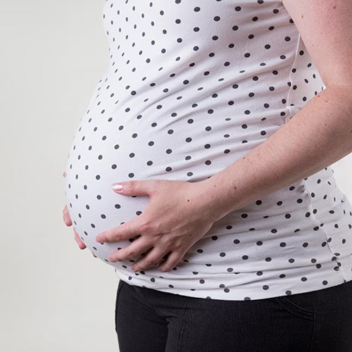 professionele foto brabant professionele foto brabant