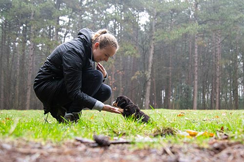 professionele foto's dieren