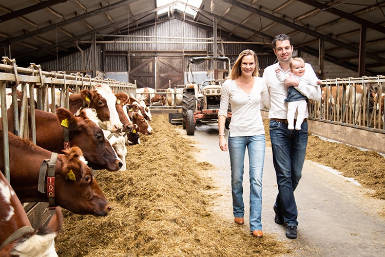 gezinsshoot locatie boerderij gezinsshoot locatie boerderij