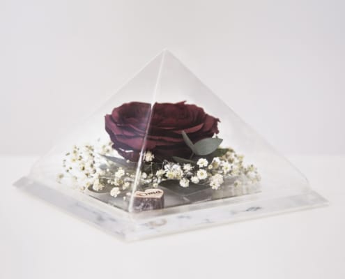 roos in glazen piramide