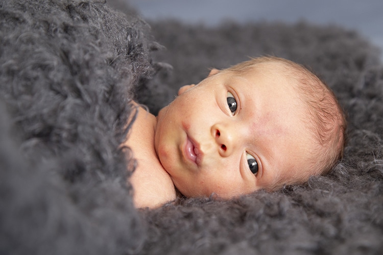 Professionele babyfoto