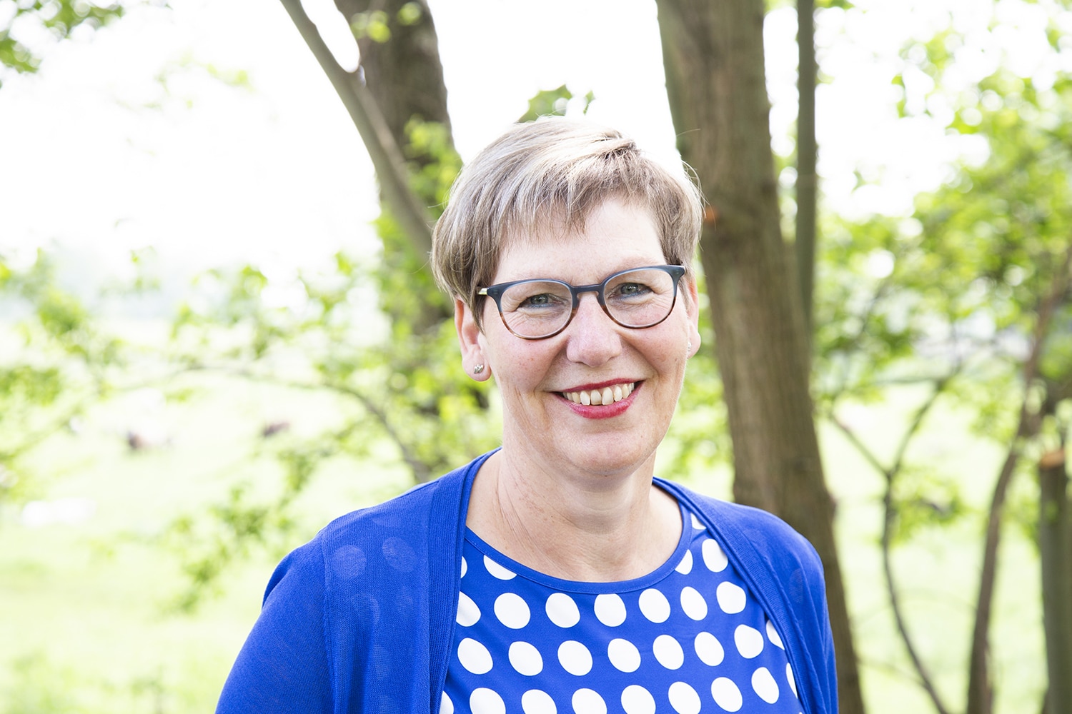 linkedin fotoshoot buiten